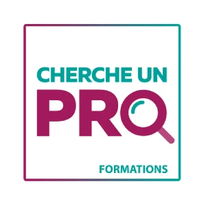 Partenaire-Cherche-un-pro-sisteron